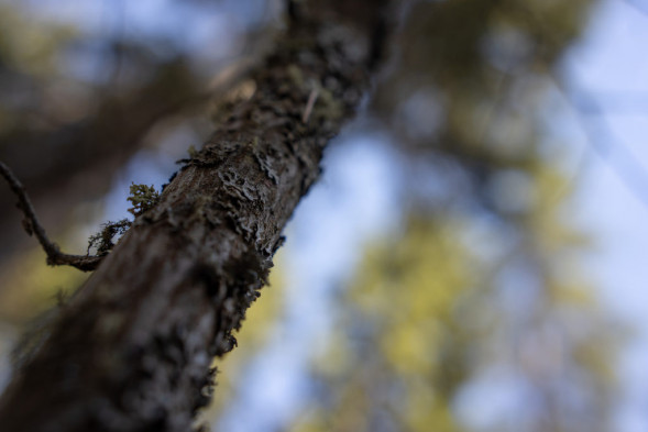 Объектив Sigma 35mm f/1.4 DG DN Art Sony E