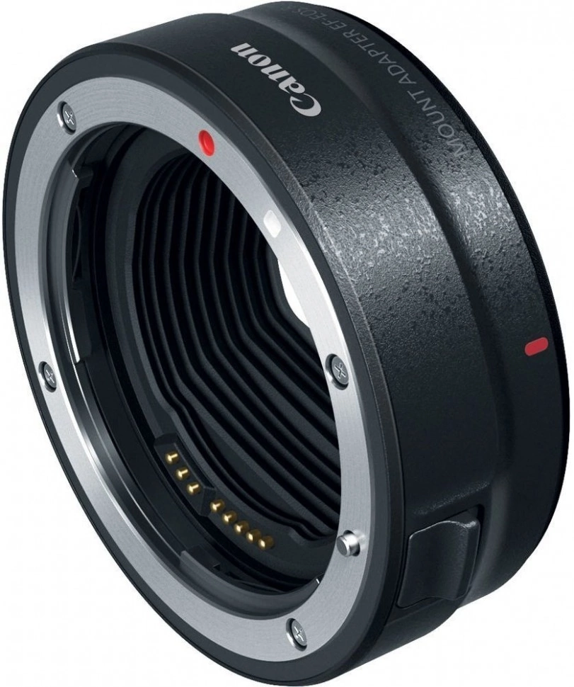 Фотоаппарат беззеркальный Canon EOS R10 Body купить в Москве в