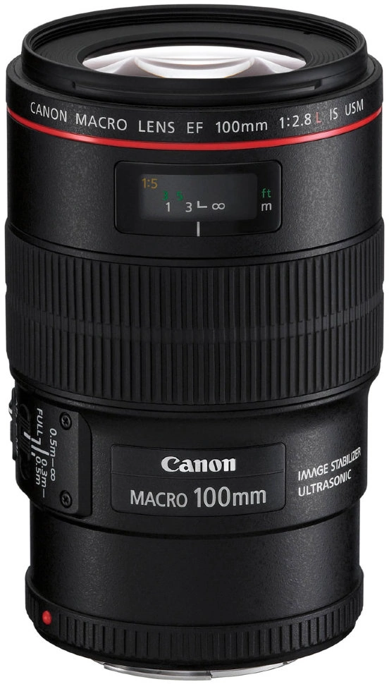 15295 実用美品 Canon EF 100mm F2.8 USM Macro 15295 実用美品 Canon EF 100mm F2.8 USM Macro Canon EF 100mm