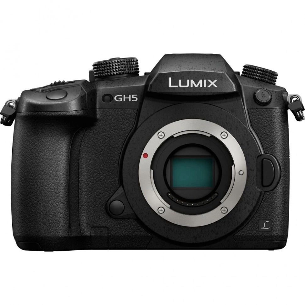 Фотоаппарат беззеркальный Panasonic Lumix GH5 Kit купить в Москве
