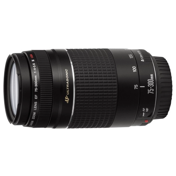 Объектив Canon EF 75-300mm f/4-5.6 III – характеристики и