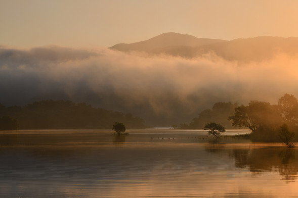 Фотоаппарат зеркальный Nikon D850 Body