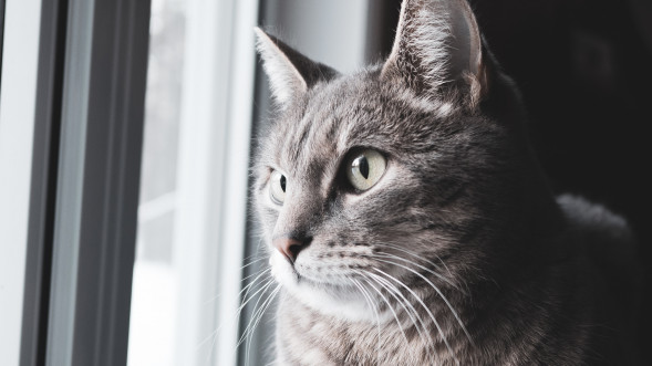 Объектив Sigma 24mm AF f/3.5 DG DN Contemporary Sony E