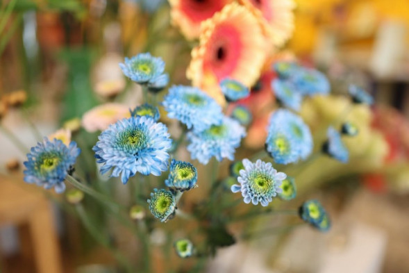 Объектив Canon RF 24mm F1.4L VCM