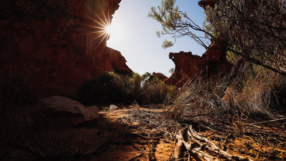 Фотоаппарат беззеркальный Canon EOS RP Kit RF 24-105mm F4-7.1 IS STM