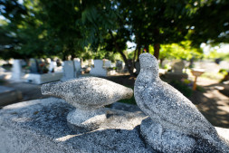 Объектив Sigma AF 14mm f/1.8 DG HSM Art Nikon F в Москве