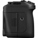 Фотоаппарат беззеркальный Canon EOS R6 V Kit 24-50 F4L IS USM PZ