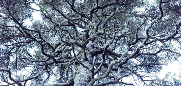 Фотоаппарат беззеркальный Panasonic Lumix DC-S5 II Х Kit 20-60mm f/3.5-5.6