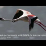Объектив Sony FE 600mm f/4 GM OSS Lens