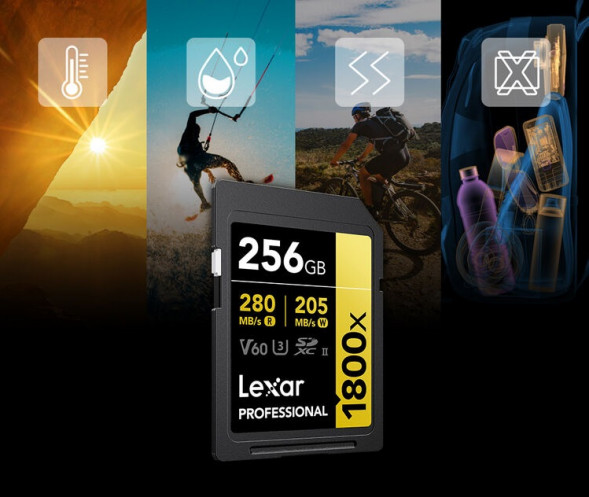 Карта памяти Lexar SDXC 256GB Professional Gold 1800x UHS-II 280/205 MB/s