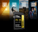 Карта памяти Lexar SDXC 256GB Professional Gold 1800x UHS-II 280/205 MB/s