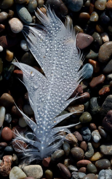 Объектив Sigma AF 24-105mm f/4 DG OS HSM Art Canon EF