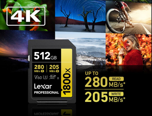 Карта памяти Lexar SDXC 512GB Professional Gold 1800x UHS-II 280/205 MB/s