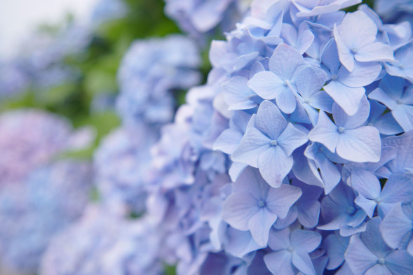 Объектив Tokina atx-m 11-18mm WE F2.8 для Sony E