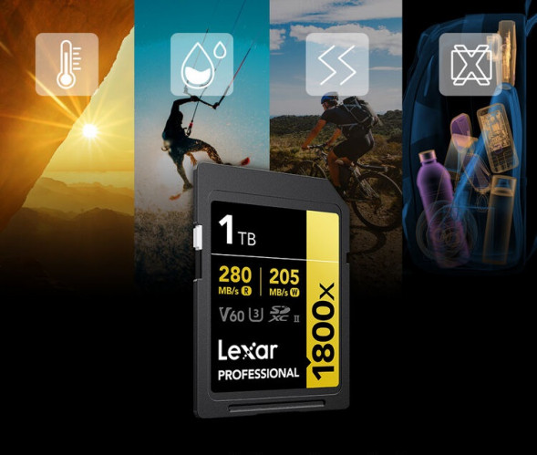 Карта памяти Lexar SDXC 1TB Professional Gold 1800x UHS-II 280/205 MB/s