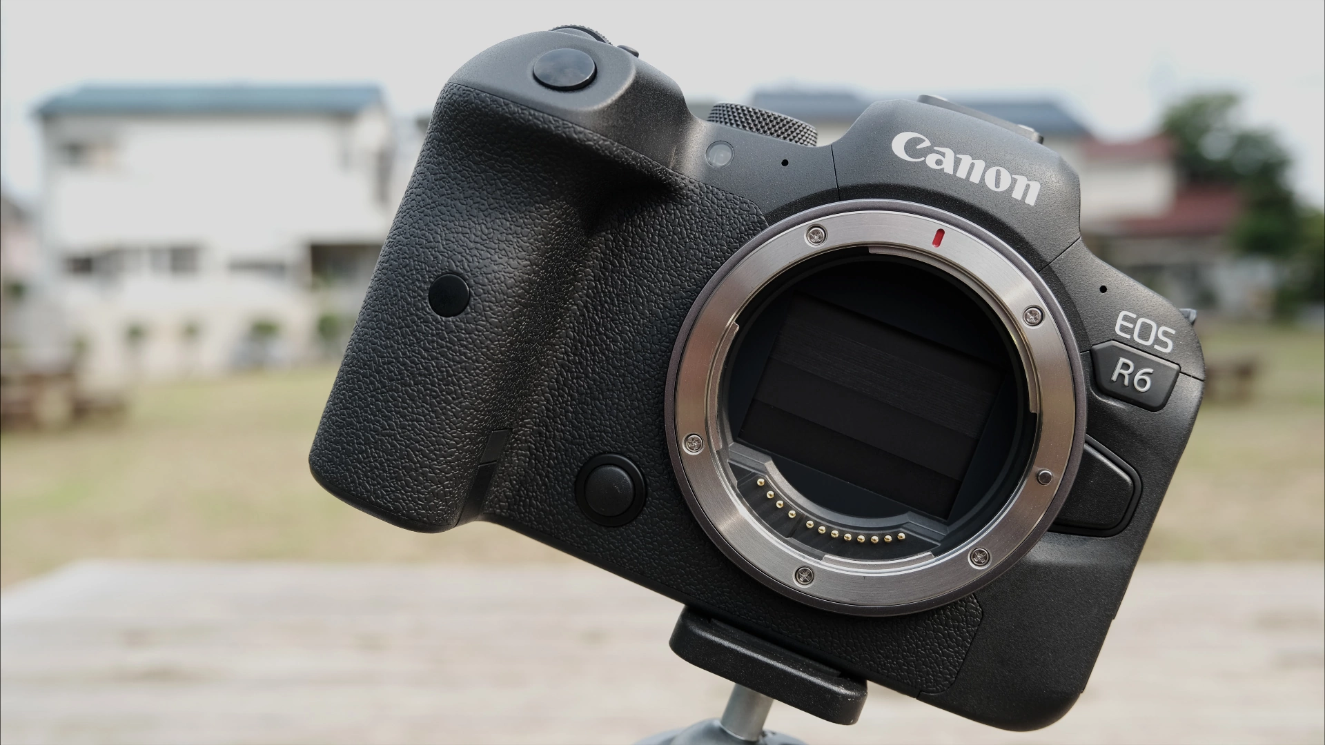 Canon EOS R6 Body — полнокадровый беззеркальный фотоаппарат Canon