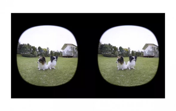 Объектив Canon RF-S 3.9MM F3.5 STM DUAL FISHEYE