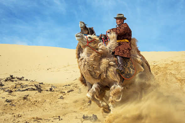 Объектив Nikon 24-120mm f/4G ED VR AF-S Nikkor