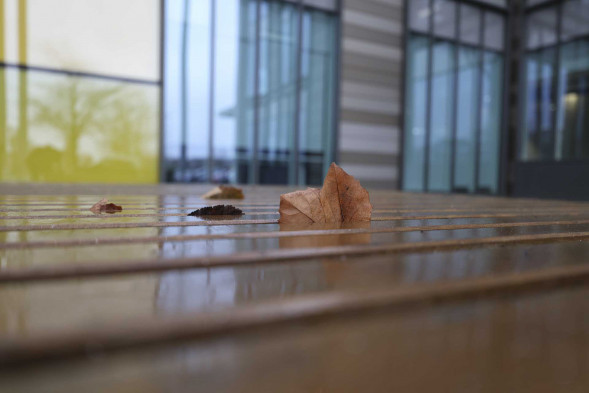 Объектив Canon RF 16-28mm F2.8 IS STM