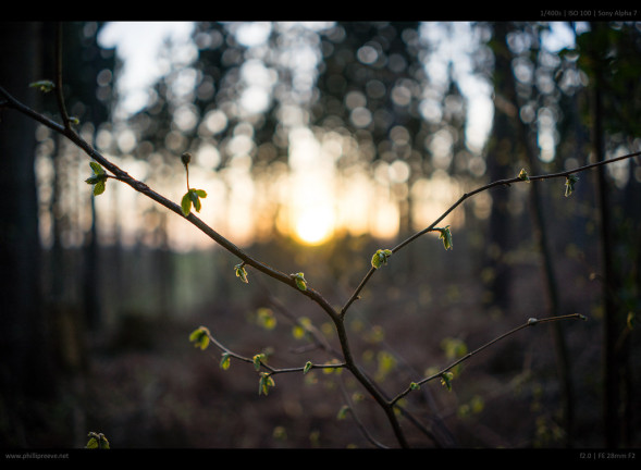 Фотоаппарат беззеркальный Sony Alpha ILCE-7M2 Kit 28-70 mm