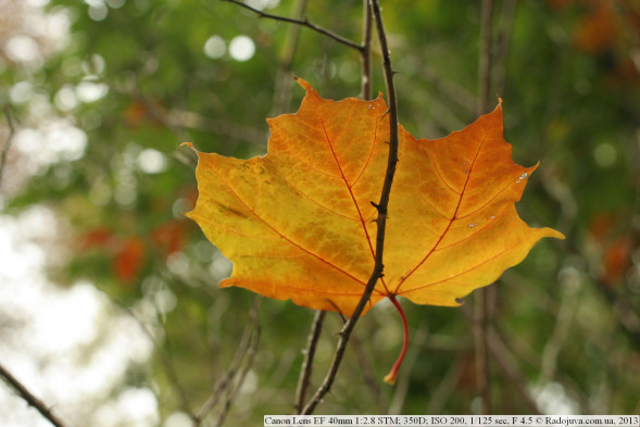 Объектив Canon EF 40mm f/2.8 STM