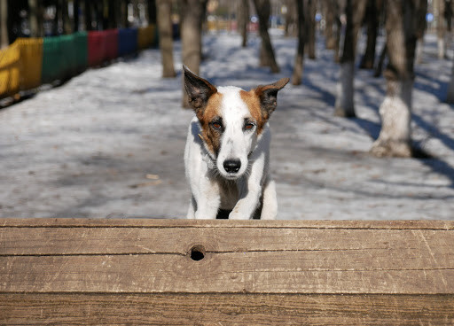 Фотоаппарат беззеркальный Panasonic Lumix DC-GX880 Kit 12–32 мм