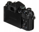 Фотоаппарат беззеркальный Olympus OM-D E-M5 Mark III Body