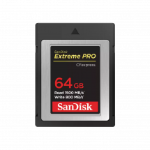 Карта памяти SanDisk CFexpress Type B 64GB Extreme Pro R1500/W800 (SDCFE-064G-GN4IN) в Москве