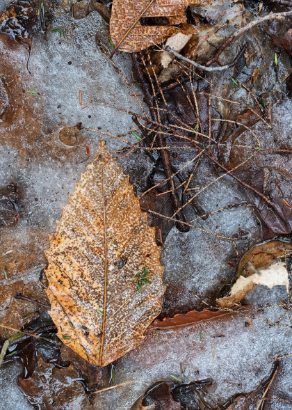 Объектив Sigma AF 50mm f/1.4 DG HSM Art Nikon F