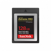 Карта памяти SanDisk CFexpress Type B 128GB Extreme Pro R1700/W1200 (SDCFE-128G-GN4NN) в Москве