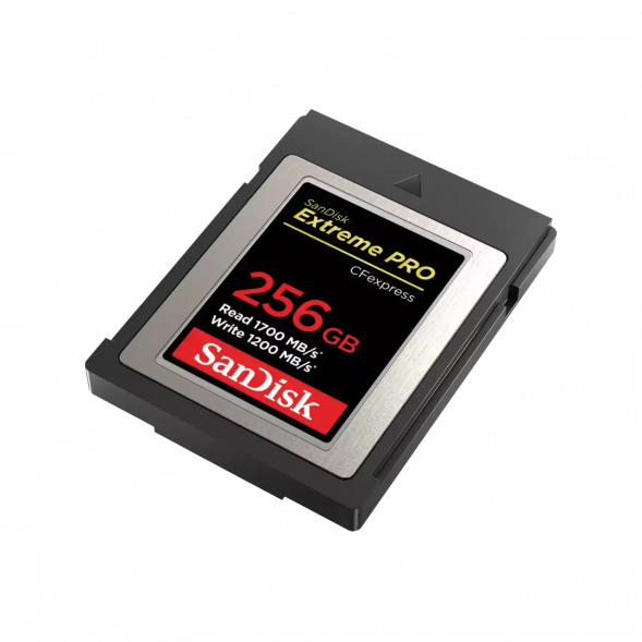 Карта памяти SanDisk CFexpress Type B 256GB Extreme Pro R1700/W1200 (SDCFE-256G-GN4NN)