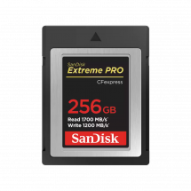 Карта памяти SanDisk CFexpress Type B 256GB Extreme Pro R1700/W1200 (SDCFE-256G-GN4NN) в Москве
