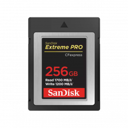 Карта памяти SanDisk CFexpress Type B 256GB Extreme Pro R1700/W1200 (SDCFE-256G-GN4NN) в Москве
