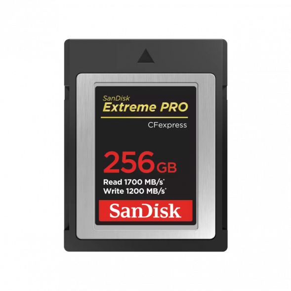 Карта памяти SanDisk CFexpress Type B 256GB Extreme Pro R1700/W1200 (SDCFE-256G-GN4NN)