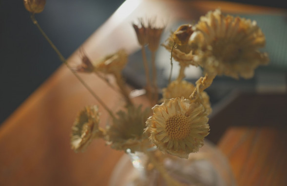 Фотоаппарат беззеркальный Sony Alpha A7C II Body Black