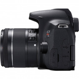 Фотоаппарат зеркальный Canon EOS 850D Body в Москве