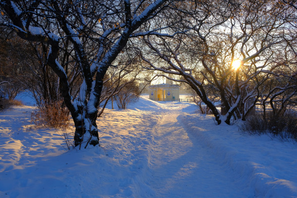 Объектив Fujinon XF 23mm f/2 R WR