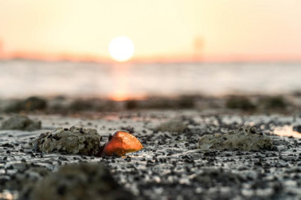 Объектив Sony 18-105mm f/4 G OSS PZ E (SELP18105G)