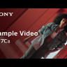 Фотоаппарат беззеркальный Sony Alpha ILCE A7C II Kit 28-60 серебристый