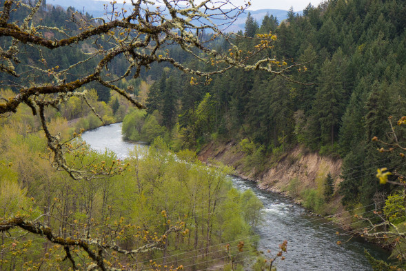 Фотоаппарат беззеркальный Canon EOS M6 Body