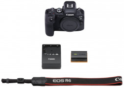 Фотоаппарат беззеркальный Canon EOS R6 Body в Москве