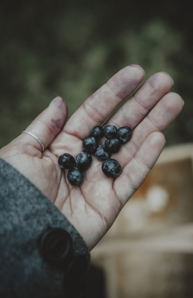 Фотоаппарат беззеркальный OM System OM-5 Body серебристый