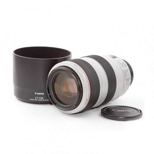 Объектив Canon EF 70-300mm f/4-5.6L IS USM