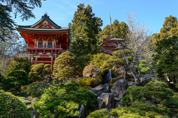 Объектив Sigma AF 35mm f/1.4 DG HSM Art Sony E