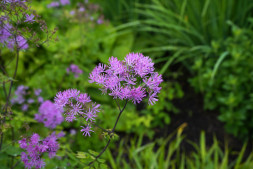 Объектив Sigma 28-45mm f/1.8 DG DN Art E-Mount в Москве