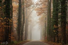 Фотоаппарат беззеркальный Sony Alpha ILCE-6500 Kit 18-135mm f/3.5-5.6 OSS