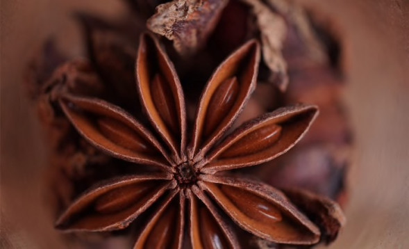 Камера для блогинга Sony ZV-E10 II Body Black