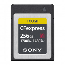 Карта памяти Sony CEB-G 256 GB CFexpress Type B в Москве