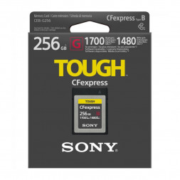 Карта памяти Sony CEB-G 256 GB CFexpress Type B в Москве