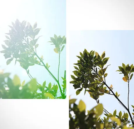 Объектив Sigma AF 100-400mm F/5-6.3 DG DN OS Contemporary L-mount